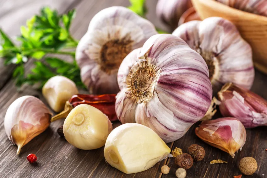Чеснок поможет избавиться от клещей. Фото: taste.com.au