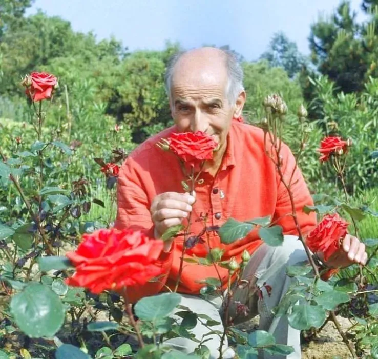 Актер очень любил розы. Фото: ИНСТАГРАМ (ЗАПРЕЩЕН В РОССИИ) / @ louis_de_funes_fans