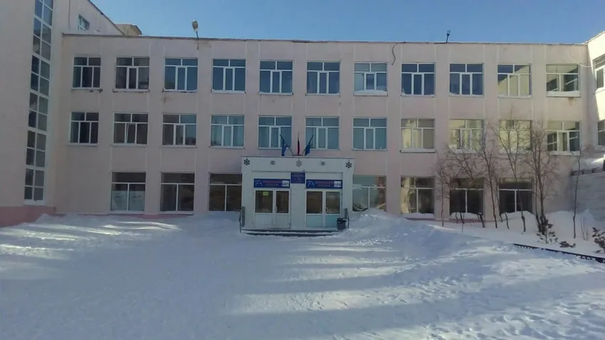 В ЯНАО 12-летний школьник пырнул ножом одноклассницу и порезал охранника. Фото: t.me/shot_shot