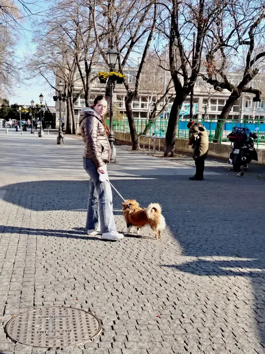 Девочка с собачкой. Фото: «Жизнь»