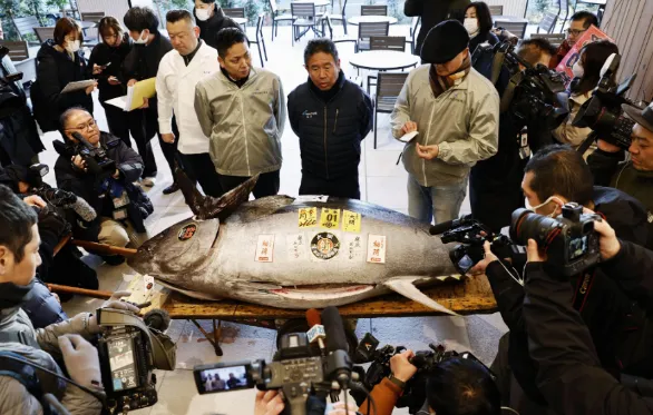 В Японии на  аукционе тунца весом 276 кг продали за 1,3 млн долларов. Фото: Kyodo News. Фото: 