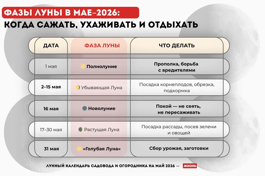 Фазы Луны в мае 2026 года. Коллаж: Гавришева Анна