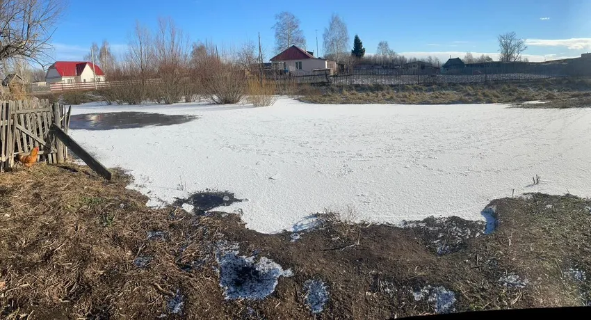 В Алтайском крае 2-летняя девочка утонула в луже, когда гуляла без присмотра. Фото: t.me/mash_siberia