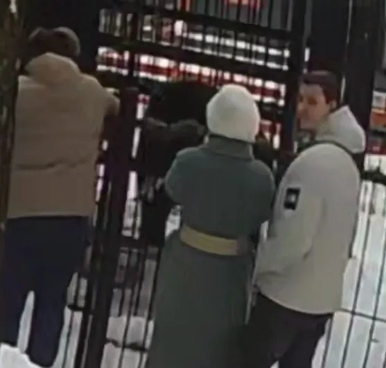 В Питере посетители чуть не убили пожилого медведя, накормив его сгущенкой. Фото: t.me/mashmoyka