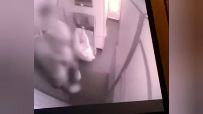 Пассажиры самолета занялись сексом прямо на кухне борта. Фото: The Mirror