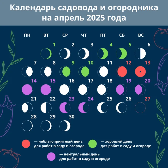 Лунный календарь на апрель 2025. Фото: Полина Кравченко «Жизнь»