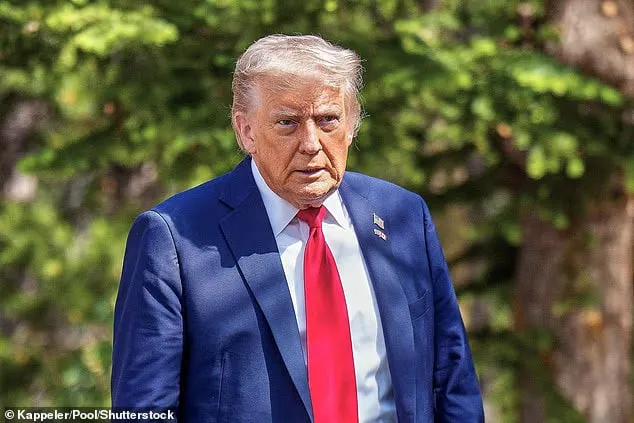 Жителя Сургута оштрафовали на 90 тыс за просьбу к Трампу забрать Уральский округ. Фото: dailymail.co.uk