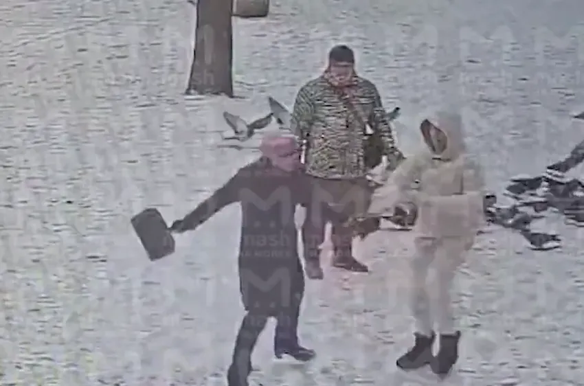 В Питере мужчина с женщиной побили пенсионерку за то, что она кормила голубей. Фото: t.me/mashmoyka