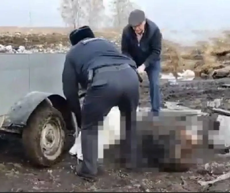 В Кемеровской области останки медвежат, над которыми измывался местный бизнесмен, нашли на свалке. Фото: t.me/mash_siberia