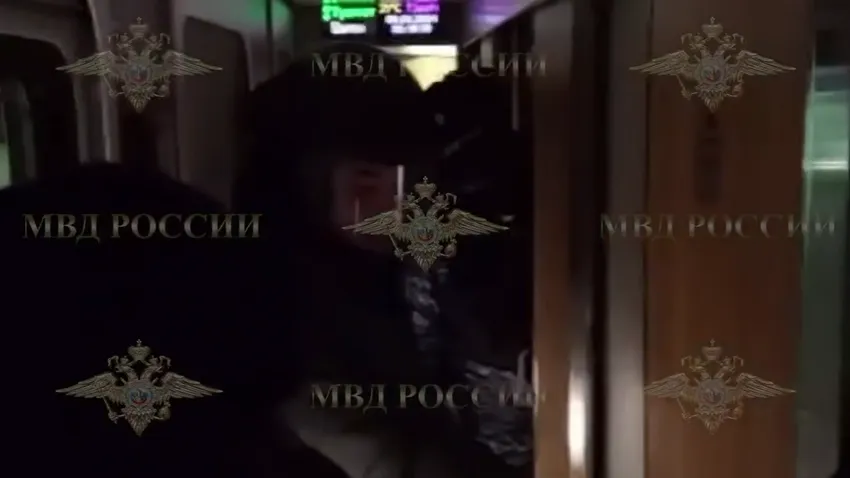 Под Новосибирском неадекватный мужчина с мачете устроил резню в поезде. Фото: t.me/IrinaVolk_MVD