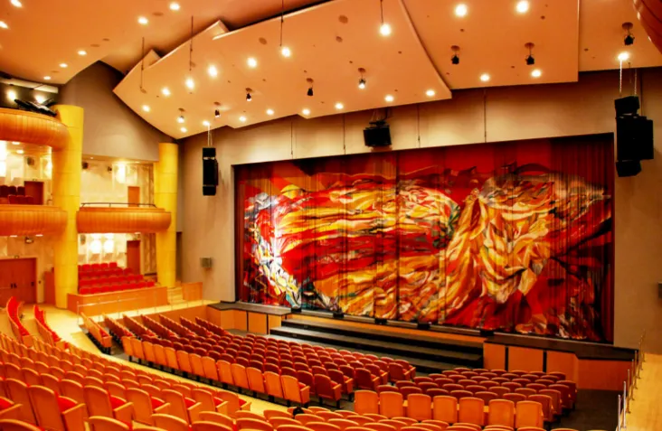 В театре Бабкиной 10-летняя девочка получила ожог лица. Фото: folkteatr.ru