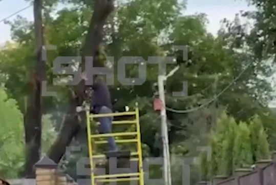 В Домодедово дерево упало на мужчину, который сам решил его спилить. Фото: t.me/shot_shot