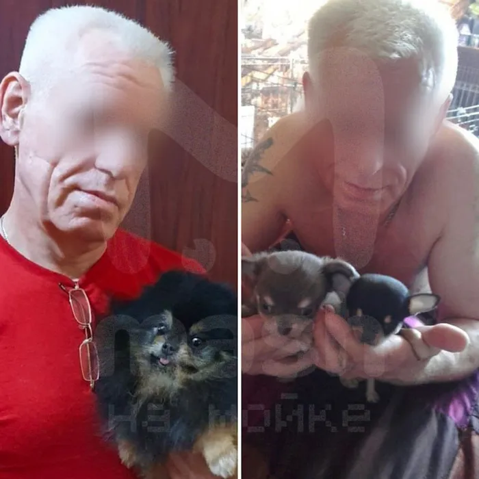 Бывший киллер оставил криминал и стал заниматься разведением щенков. Фото: @t.me/mashmoyka