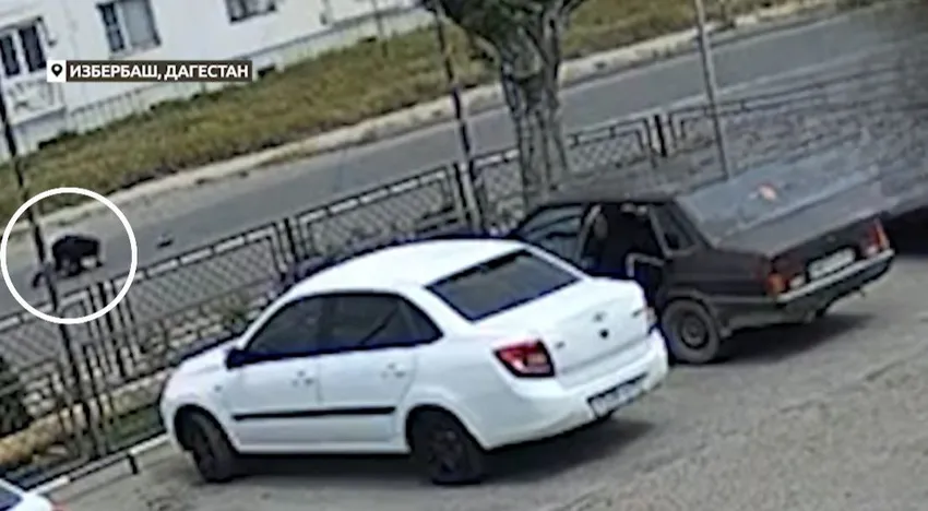 Полицейский получил травмы после того, как неадекватный водитель протащил его по асфальту. Фото: @T.ME/GOR_MASH