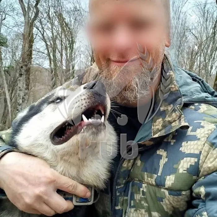 Хозяин хаски, которые отгрызли лицо ребенку, раньше содержал собачий питомник. Фото: @t.me/kub_mash