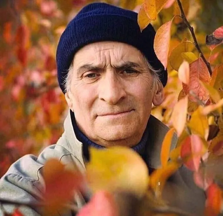Судьба отвела ему не так много... Фото:  ИНСТАГРАМ (ЗАПРЕЩЕН В РОССИИ) / @louis_de_funes_fans
