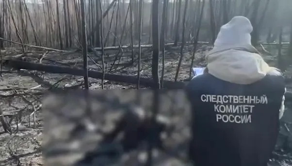 Трое спасателей, пропавших 2 недели назад в Забайкалье, сгорели в лесном пожаре. Фото: t.me/susk_75