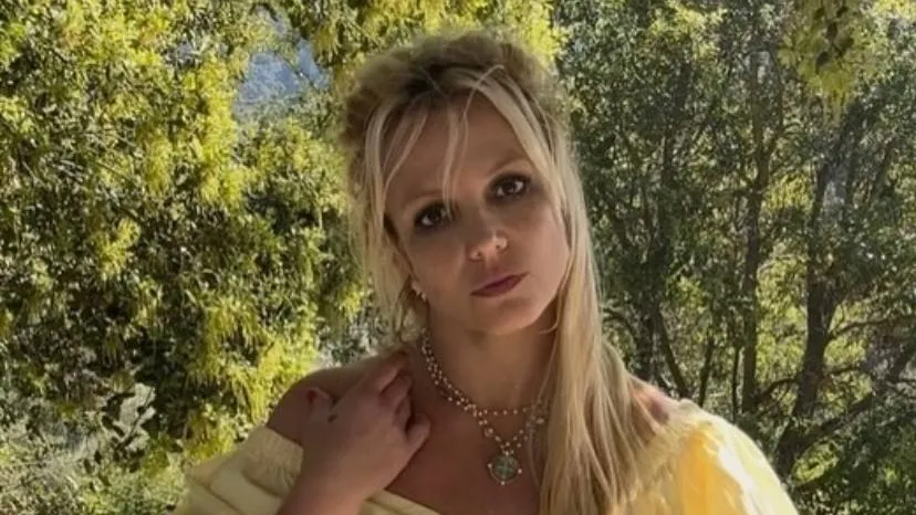 Бритни попала в больницу. Фото: ИНСТАГРАМ (ЗАПРЕЩЕН В РОССИИ) / @britneyspears