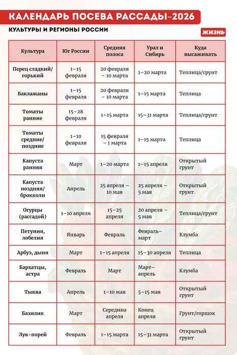 Календарь посева рассады в 2026 году. Коллаж: Гавришева Анна