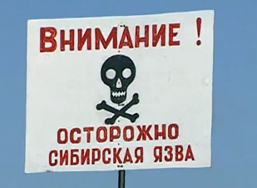 В регионе были затоплены 8 скотомогильников и 14 могильников сибирской язвы