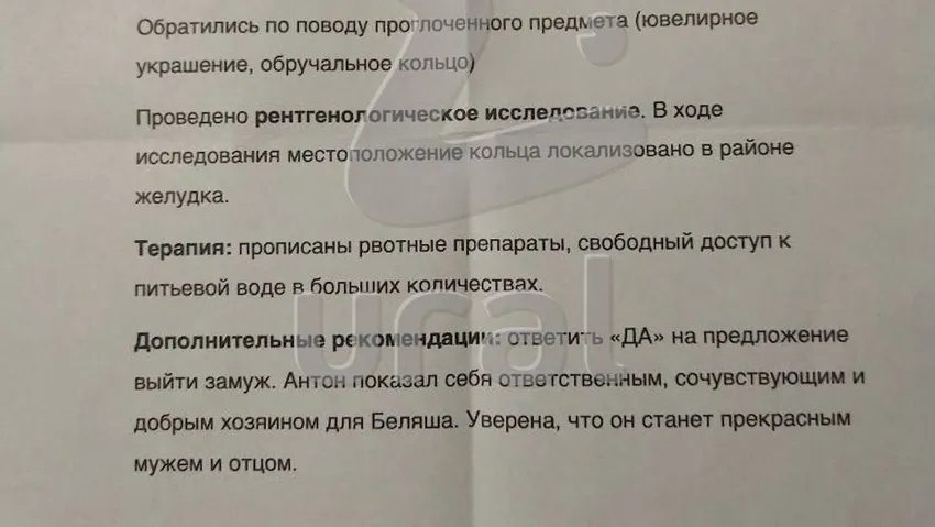 Рекомендации ветеринара. Фото: @url_mash