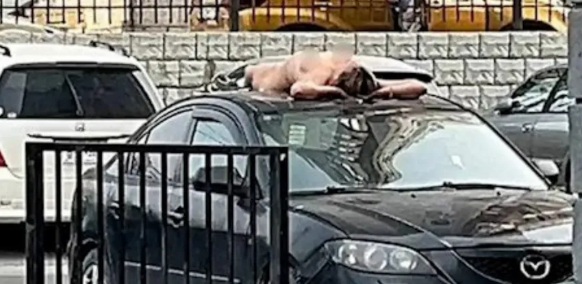 В Новосибирске голая дама залезла на крышу чужого авто, чтобы там позагорать. Фото: t.me/mash_siberia