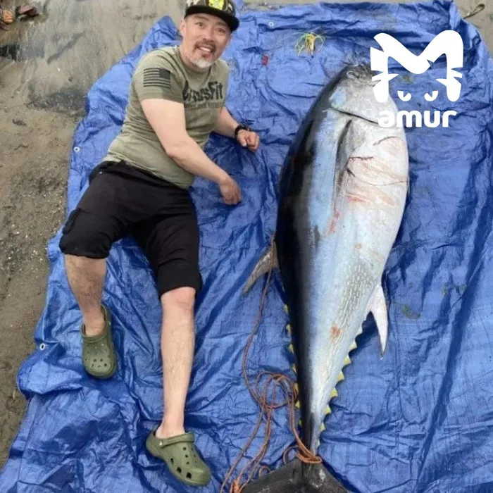 На Сахалине рыбаки вытащили из моря гигантского тунца, размером с человека. Фото: t.me/amur_mash