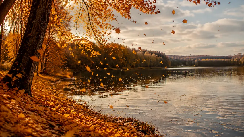 Какой будет осень в 2026 году: погода на сентябрь, октябрь и ноябрь. Фото сгенерировано нейросетью GPT Images