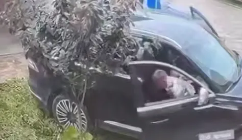 В Чечне 6-классник разбил мамино авто за 7 млн, решив покатать сестер во дворе. Фото: t.me/mash_gor