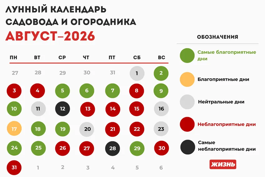 Лунный календарь садовода и огородника на август 2026 года: благоприятные дни. Лунный календарь на август 2026 года. Коллаж: Гавришева Анна