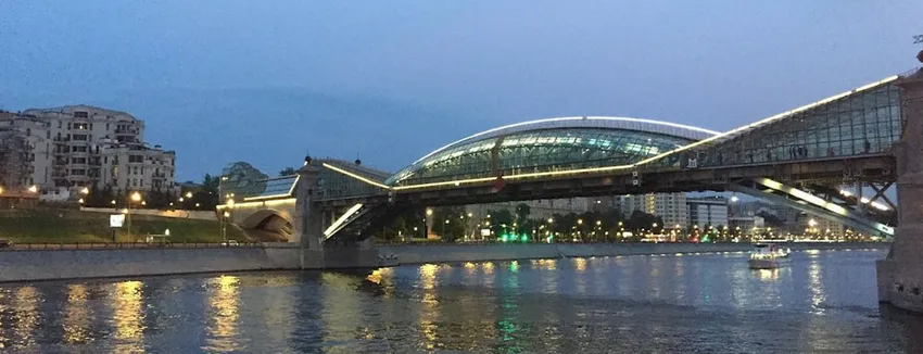 Москвич Андрей Макаревич прыгнул с моста и чуть не утонул в Москве-реке. Фото: t.me/shot_shot