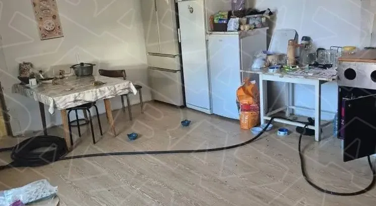 Под Новосибирском мужчина пытался убить жену, проведя в ее спальню газовый шланг. Фото: t.me/bazabazon