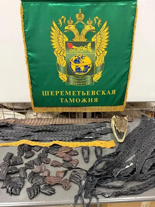 Фото: соцсети