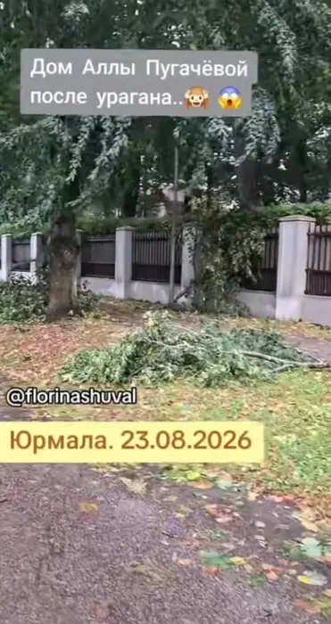 Фото: соцсети