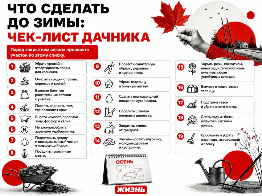 Что нужно сделать до зимы в саду и огороде: чек-лист дачника. Коллаж: Сорокина Екатерина