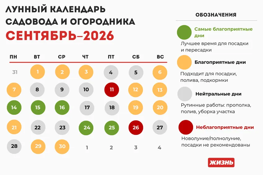 Лунный календарь садовода и огородника на сентябрь 2026 года. Коллаж: Гавришева Анна