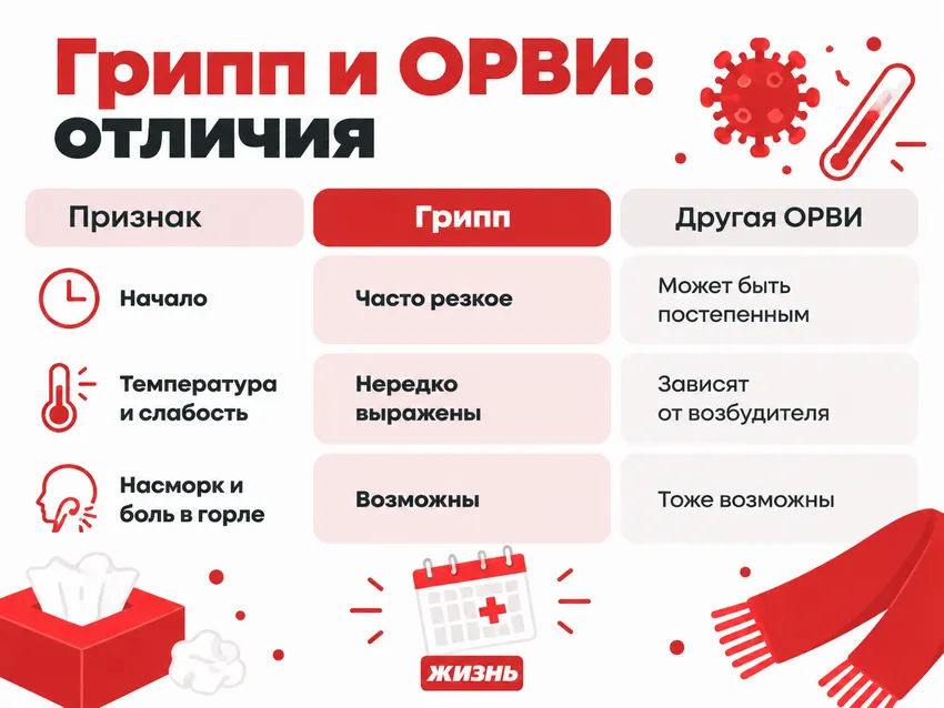 Как распознать грипп 2026: первые симптомы и отличия от обычной простуды. Инфографика. Коллаж: Сорокина Екатерина
