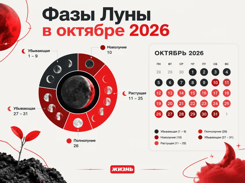 Фазы Луны в октябре 2026 года: убывающая Луна (1-9 октября), новолуние (10 октября), растущая Луна (11–25 октября), полнолуние (26 октября), убывающая Луна (27-31 октября). Инфографика с круговой диаграммой фаз и календарем. Коллаж: Сорокина Екатерина