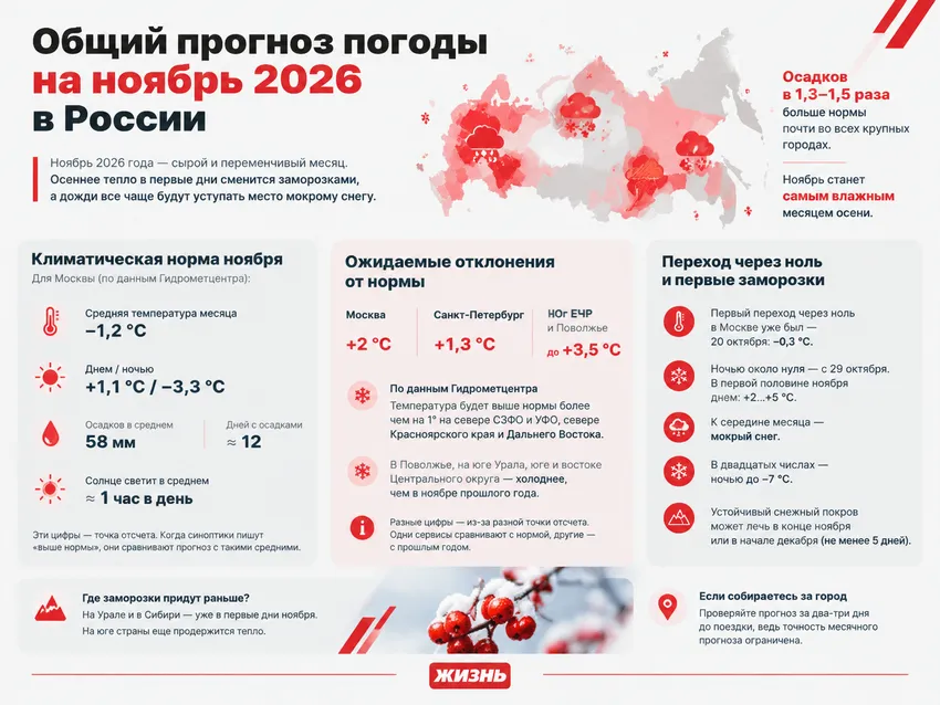 Общий прогноз погоды на ноябрь 2026 года в России. Инфографика: Сорокина Екатерина