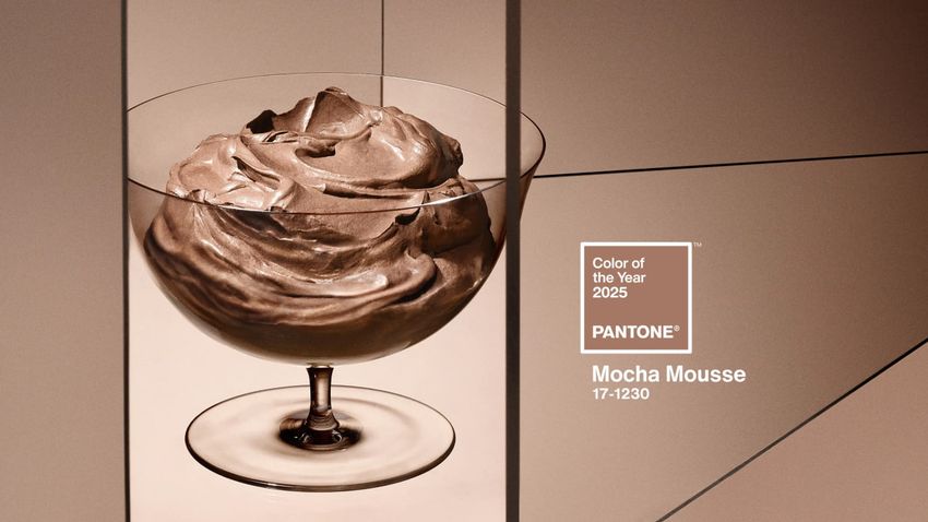 "Мусс мокко" объявлен цветом 2025 года. Фото: pantone.com