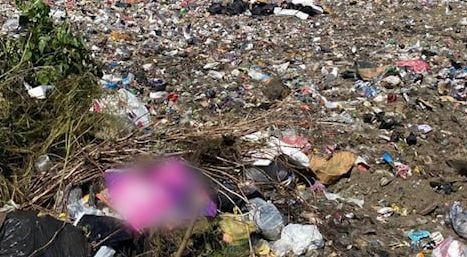 В Новосибирске на свалке обнаружили расчлененное тело пожилой женщины. Фото: t.me/mash_siberia