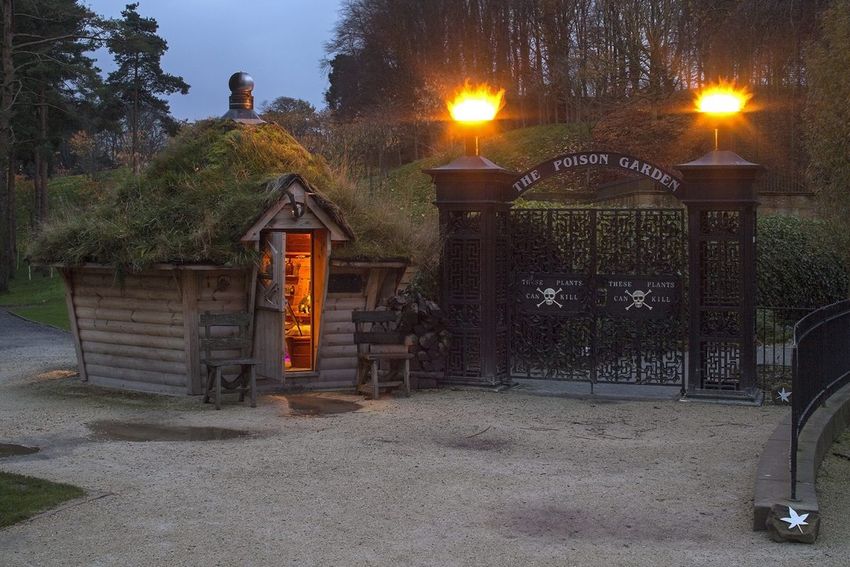Фото: alnwickgarden.com