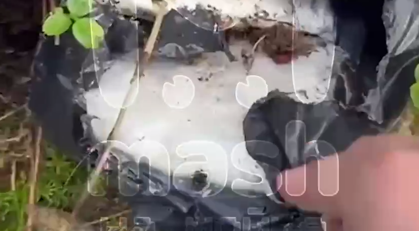 В Ленобласти девушка нашла в лесу пакеты с запрещенными веществами весом 9 кг. Фото: t.me/mashmoyka