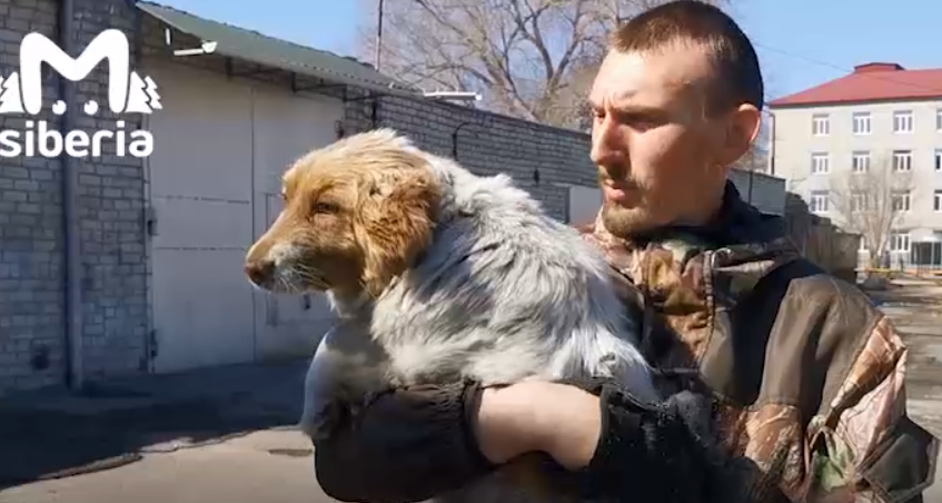 Собака и её спаситель. Фото: @mash_siberia