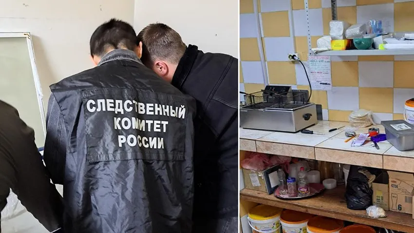 В Ленобласти трехлетняя девочка отравились картошкой фри в кафе и умерла. Фото: t.me/mashmoyka