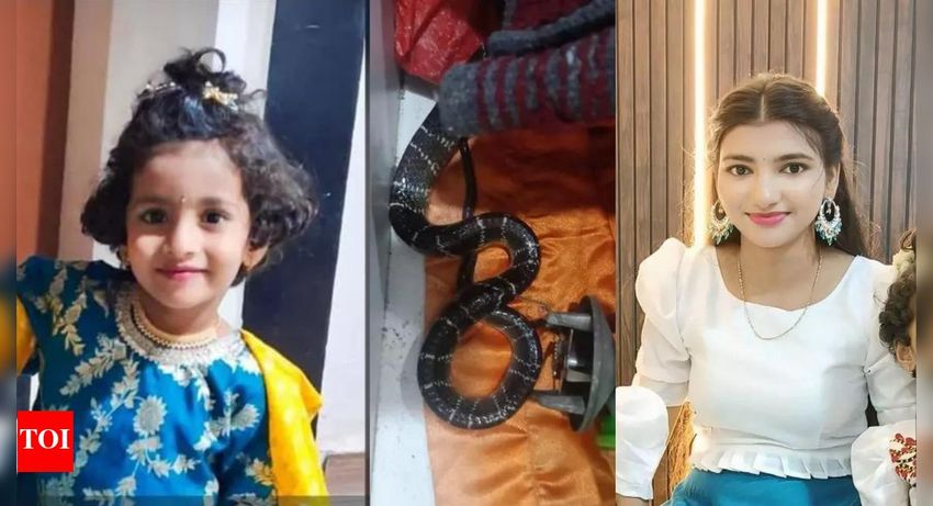 В Индии 4-летняя девочка вместе с тетей умерла от укуса змеи, заползшей в дом. Фото: timesofindia.indiatimes.com