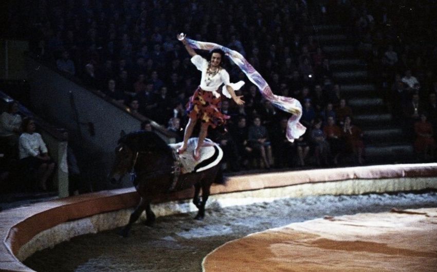 На арене цирка Гитана просто феерила. ФОТО: соцсети