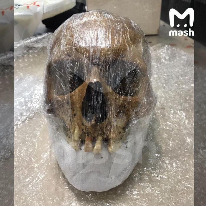 Фото: Mash