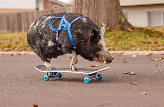 Фото: соцсети