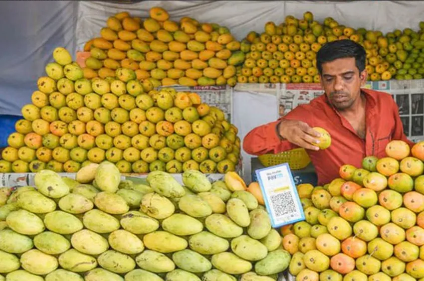 В Индии новый смертельны вирус передаваться через манго из-за летучих мышей. Фото: t.me/shot_shot